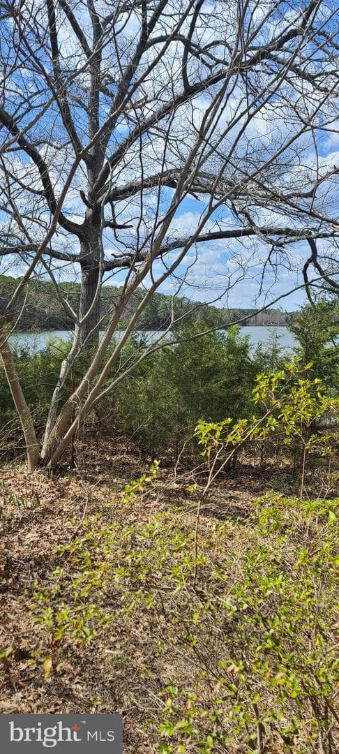 922 Skipjack Road photo 32