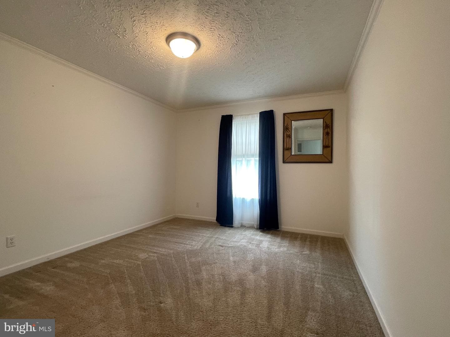 416 Monticello Drive photo 17