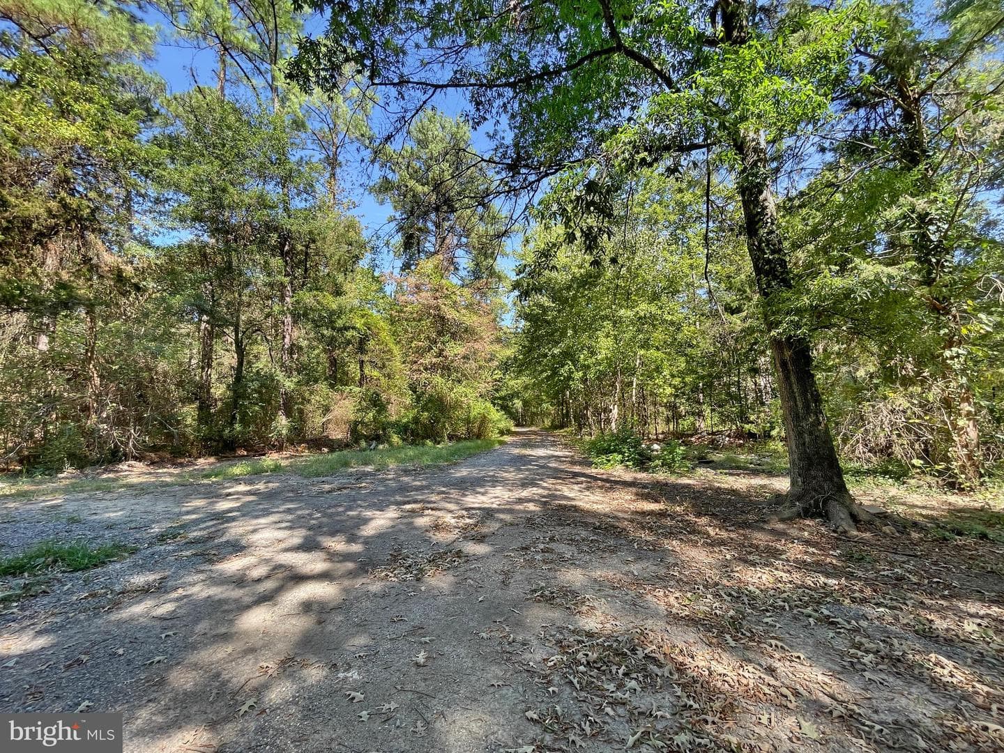 204 Monroe Bay Circle photo 17