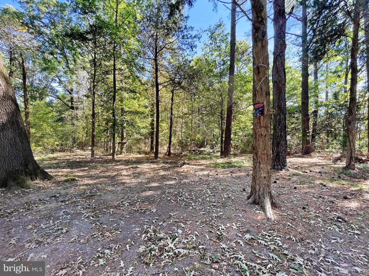 204 Monroe Bay Circle photo 18