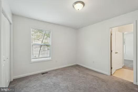 16 Placid Road photo 15