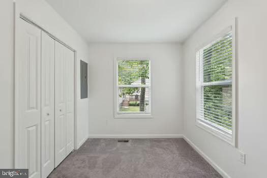 16 Placid Road photo 16