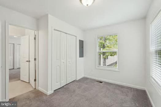 16 Placid Road photo 17