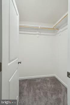 16 Placid Road photo 20