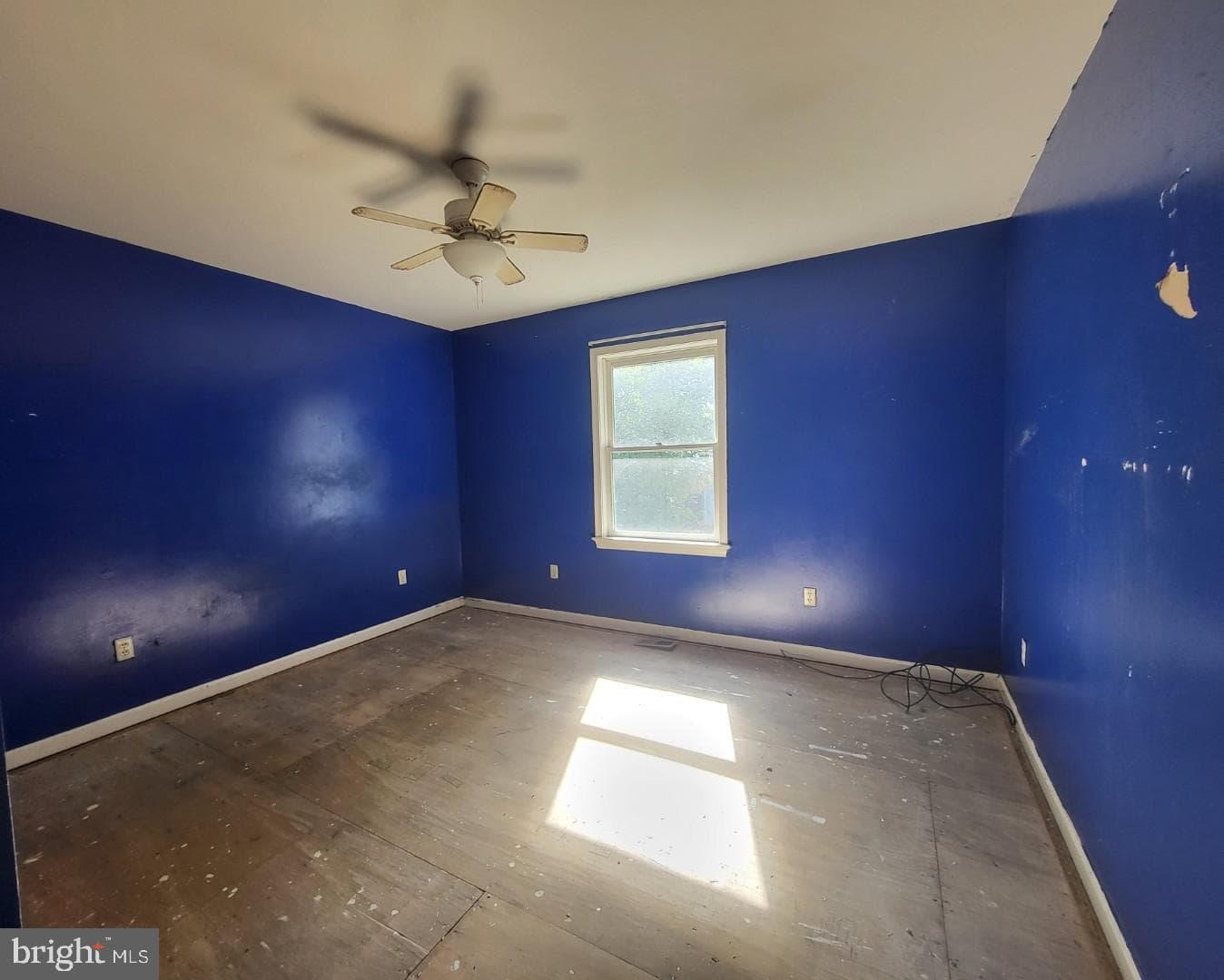240 Cedar Avenue photo 17