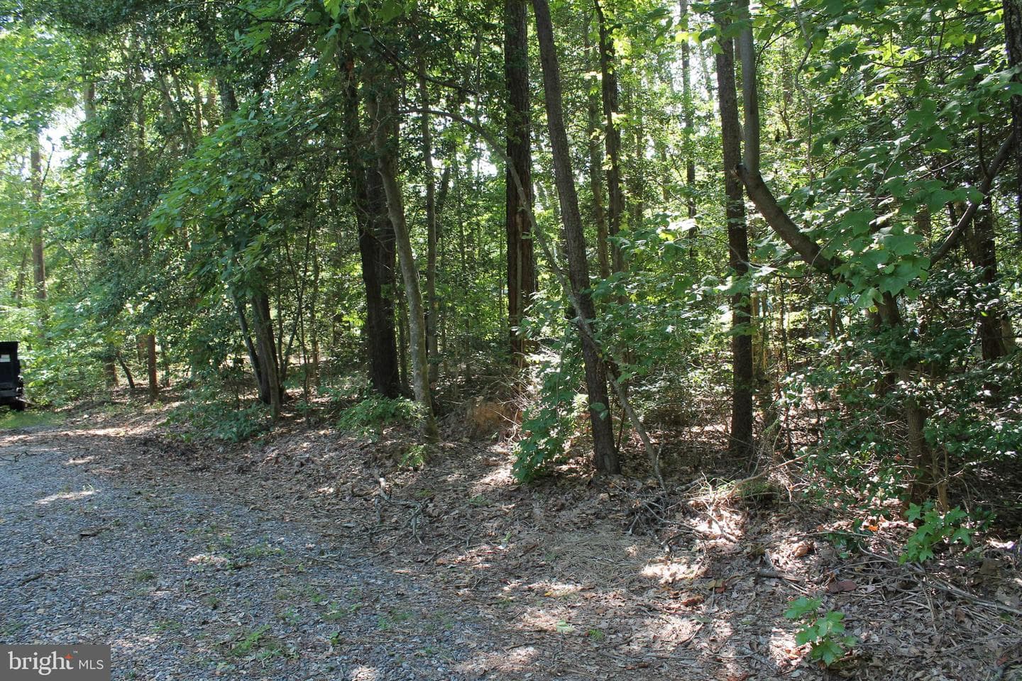 88 Carter photo 48