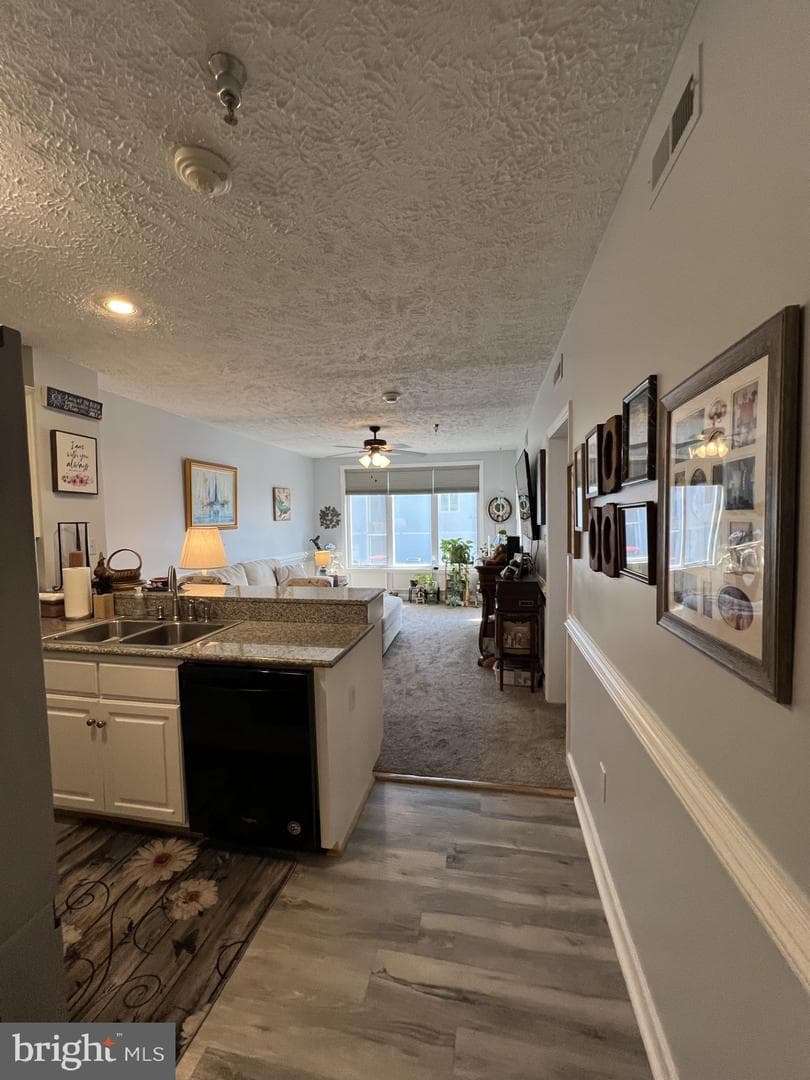 100 Taylor Street #206 photo 5