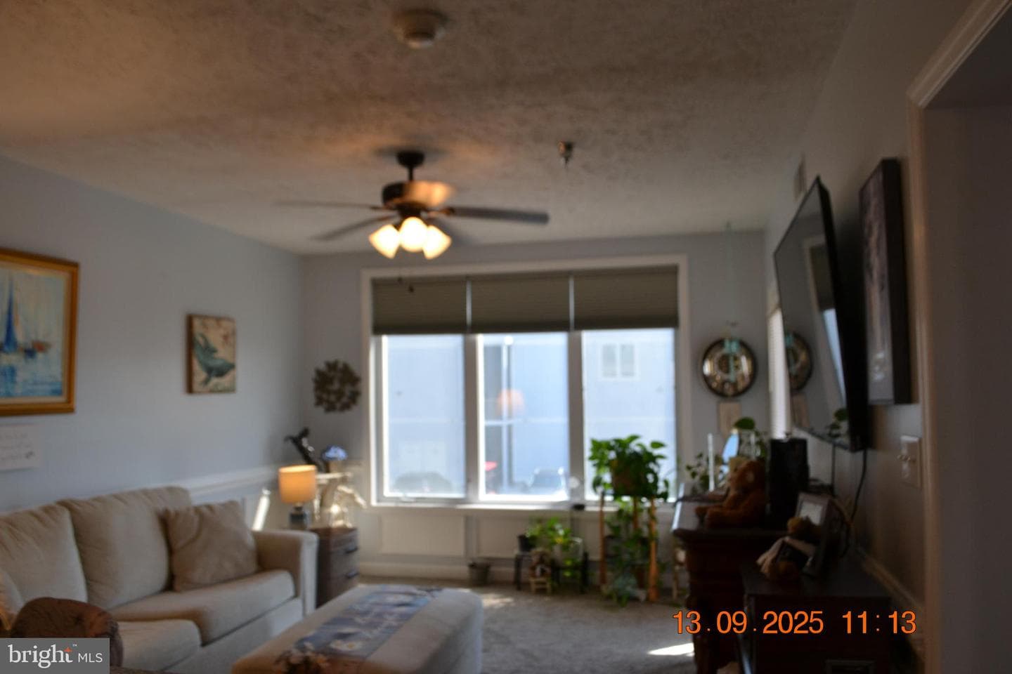 100 Taylor Street #206 photo 7