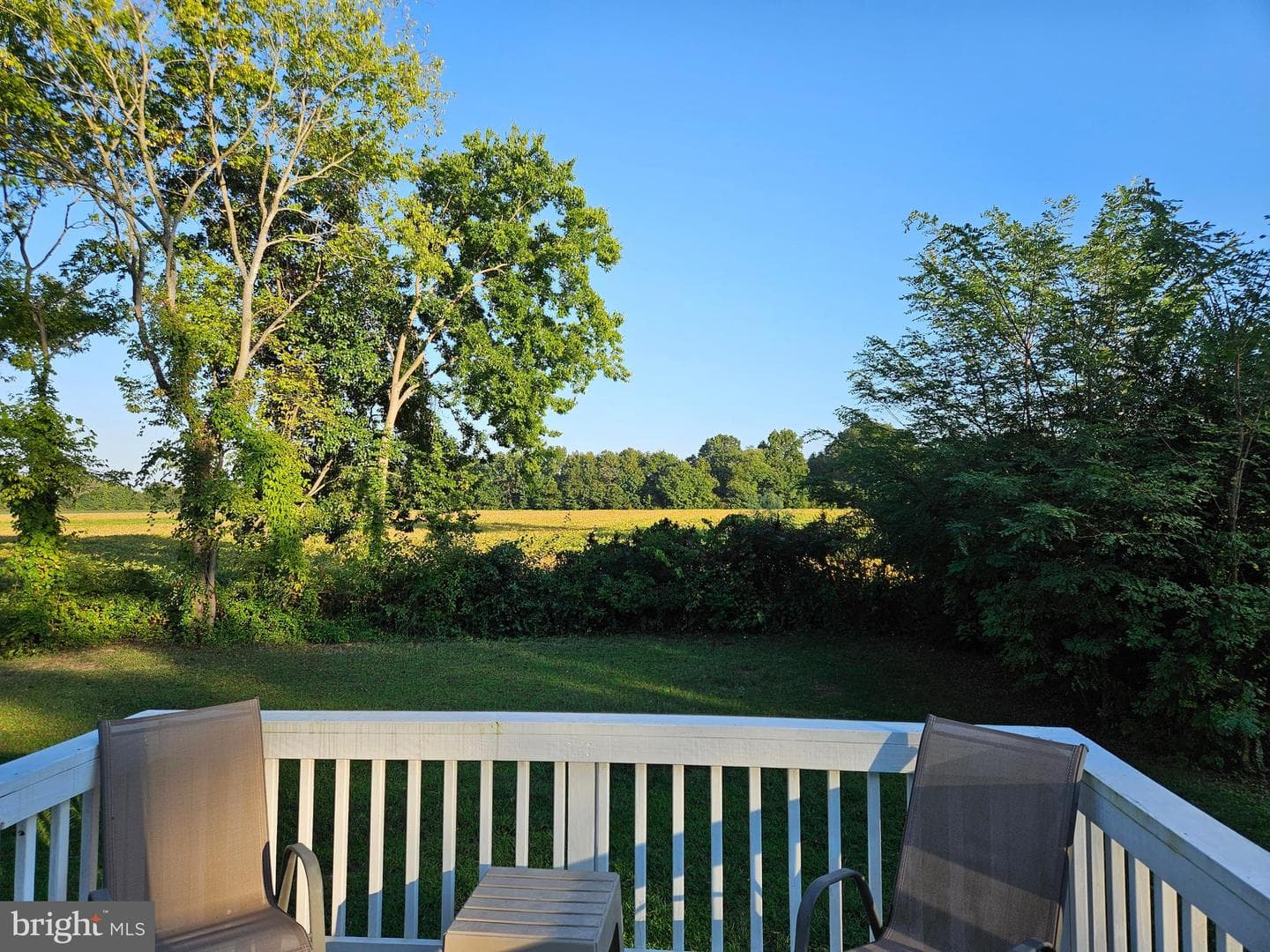484 Latane Drive photo 24