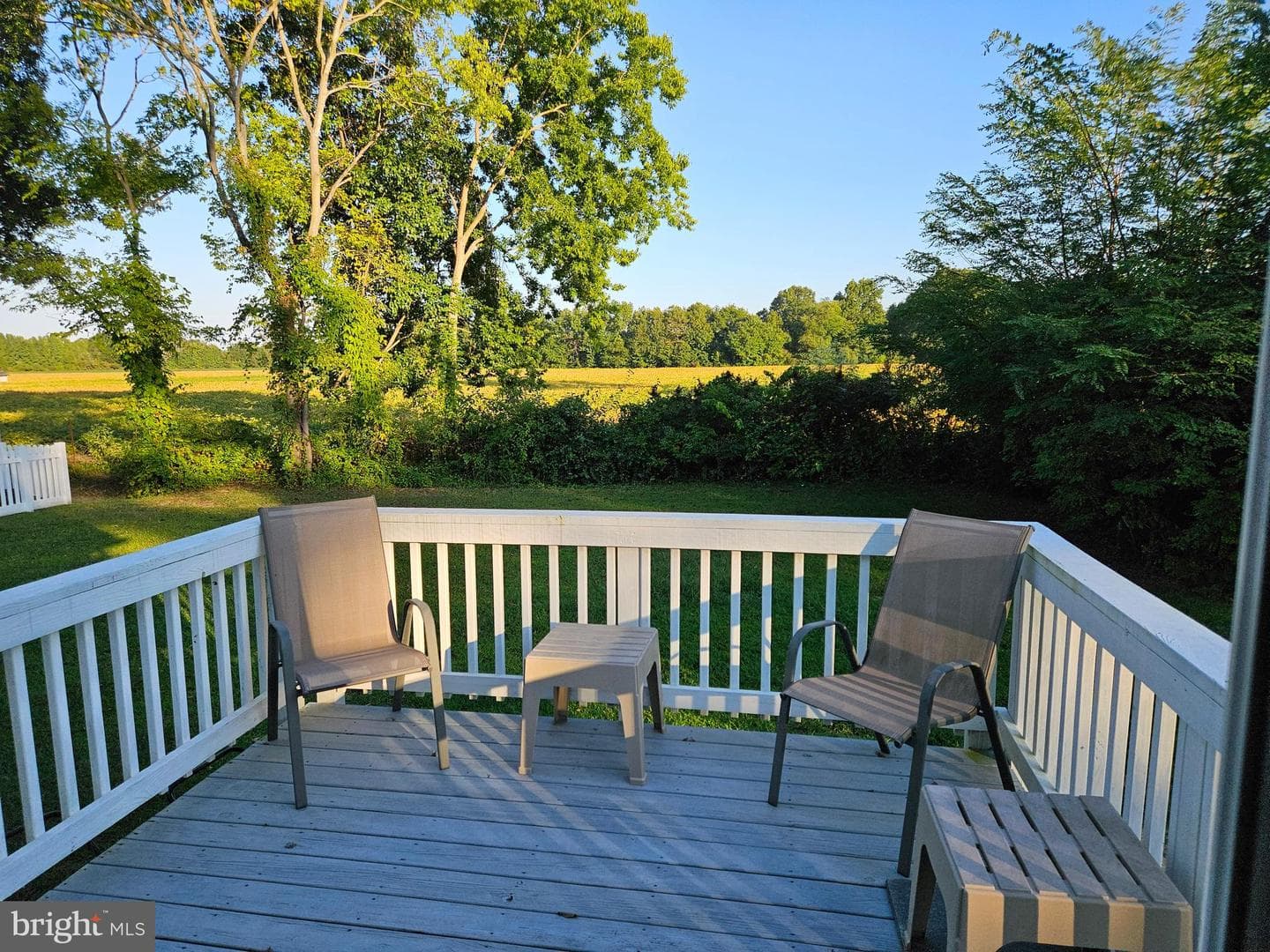 484 Latane Drive photo 4