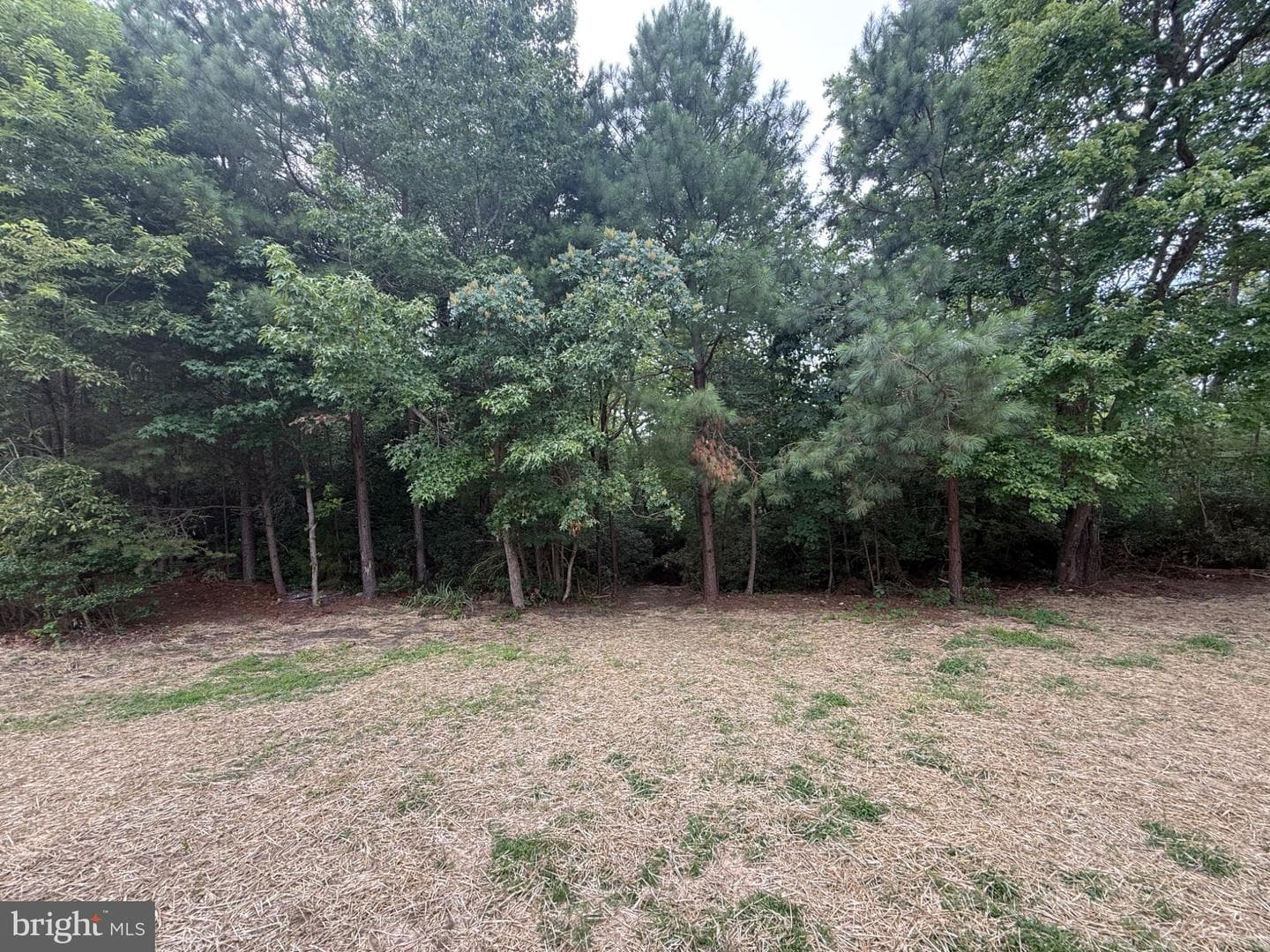 185 Woodberry Drive photo 30