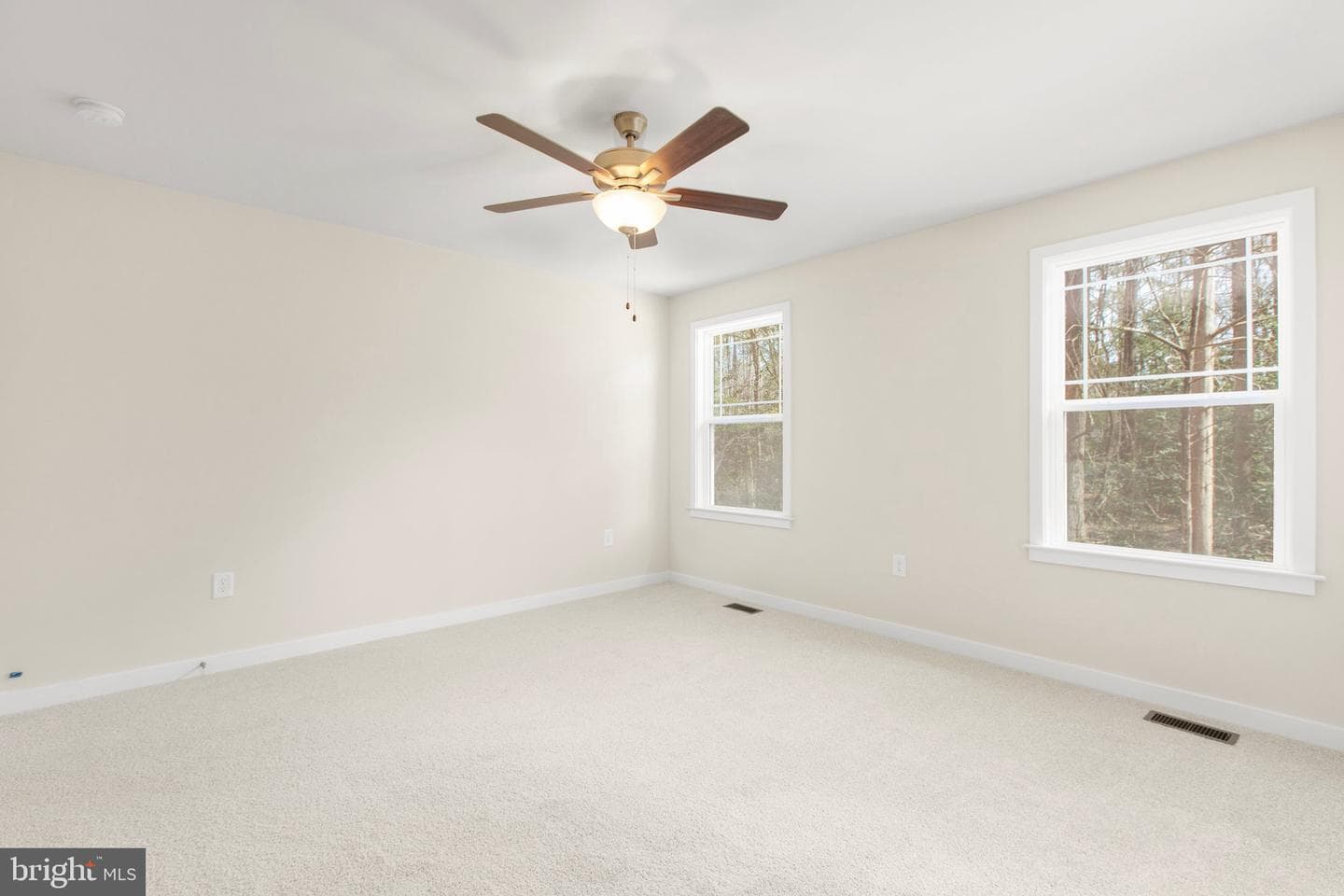 813 Elkin Street photo 14