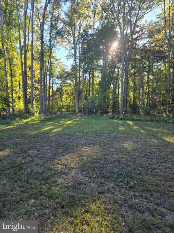 227 Forest Grove Road photo 22