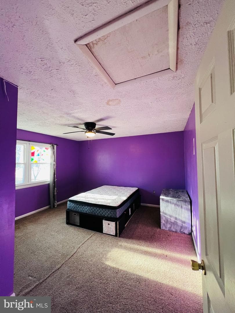 320 Cedar Avenue photo 32