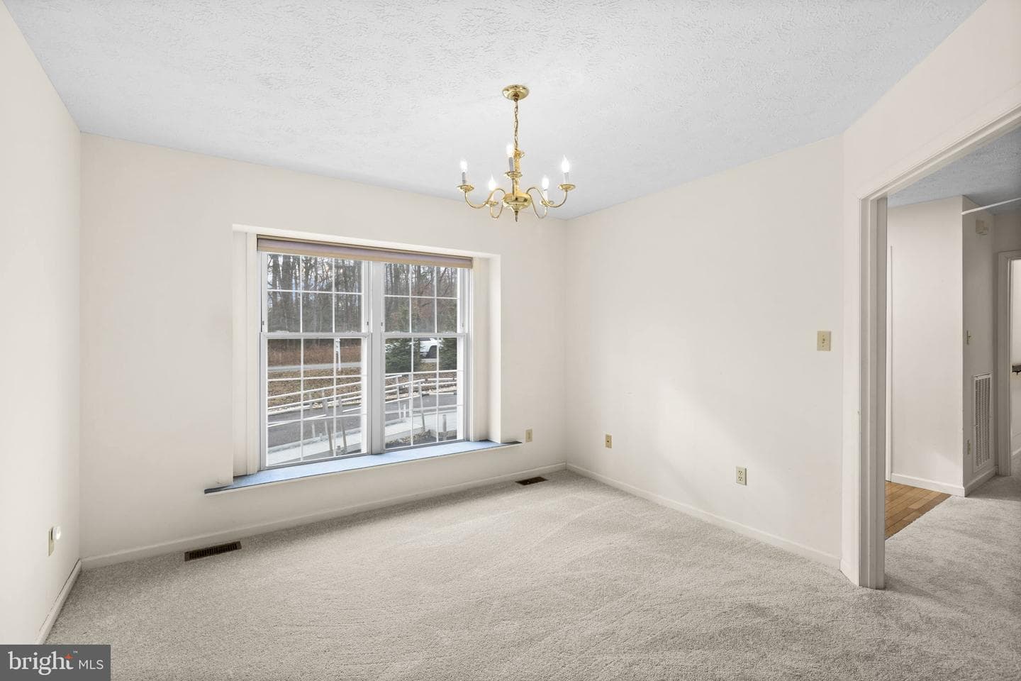 49 Grove Drive photo 13
