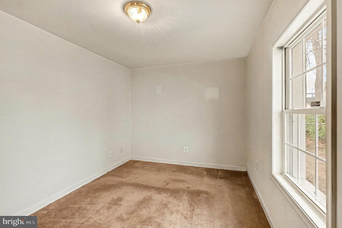 1117 Irving Avenue photo 21