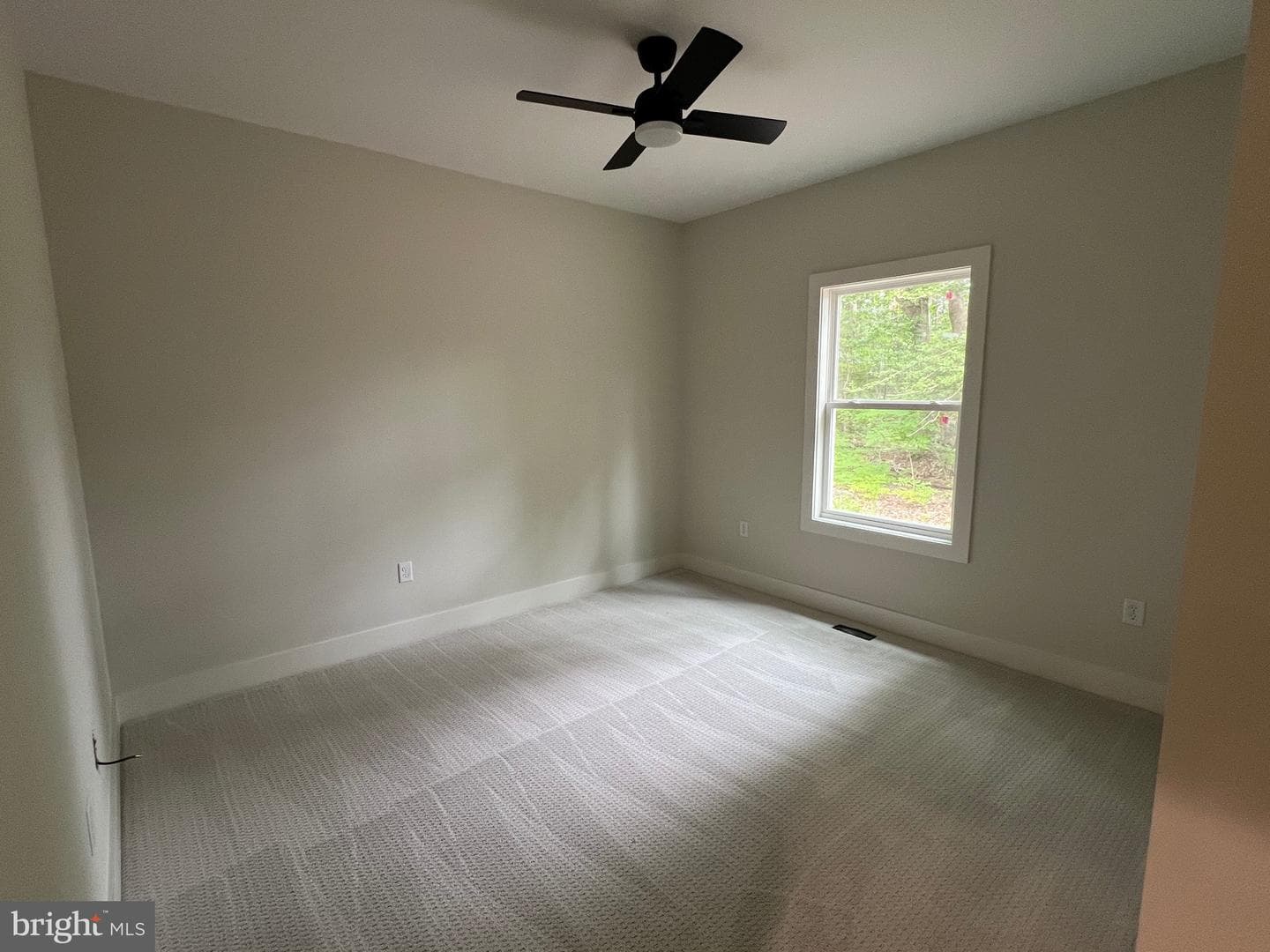 175 Rose Way photo 28