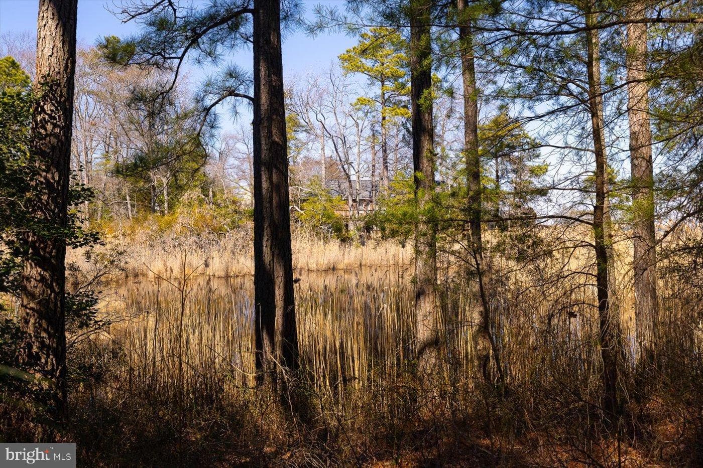 198 Canoe Place photo 52