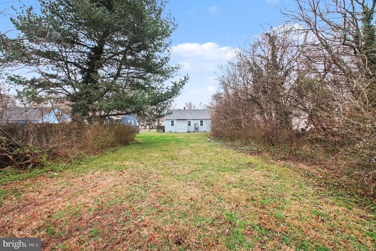 217 Locust Avenue photo 26