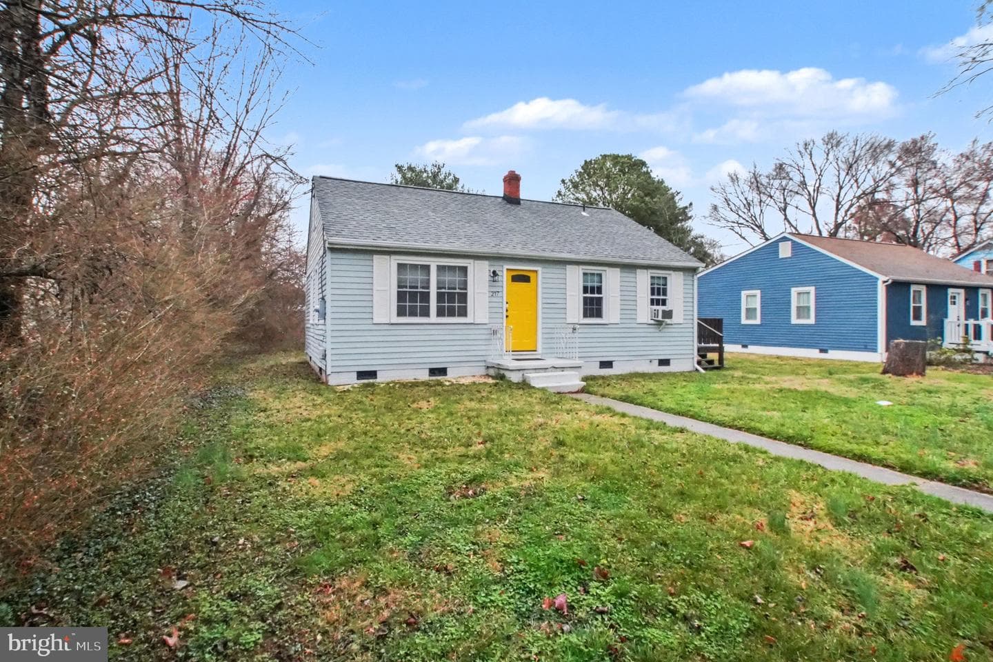 217 Locust Avenue photo 5