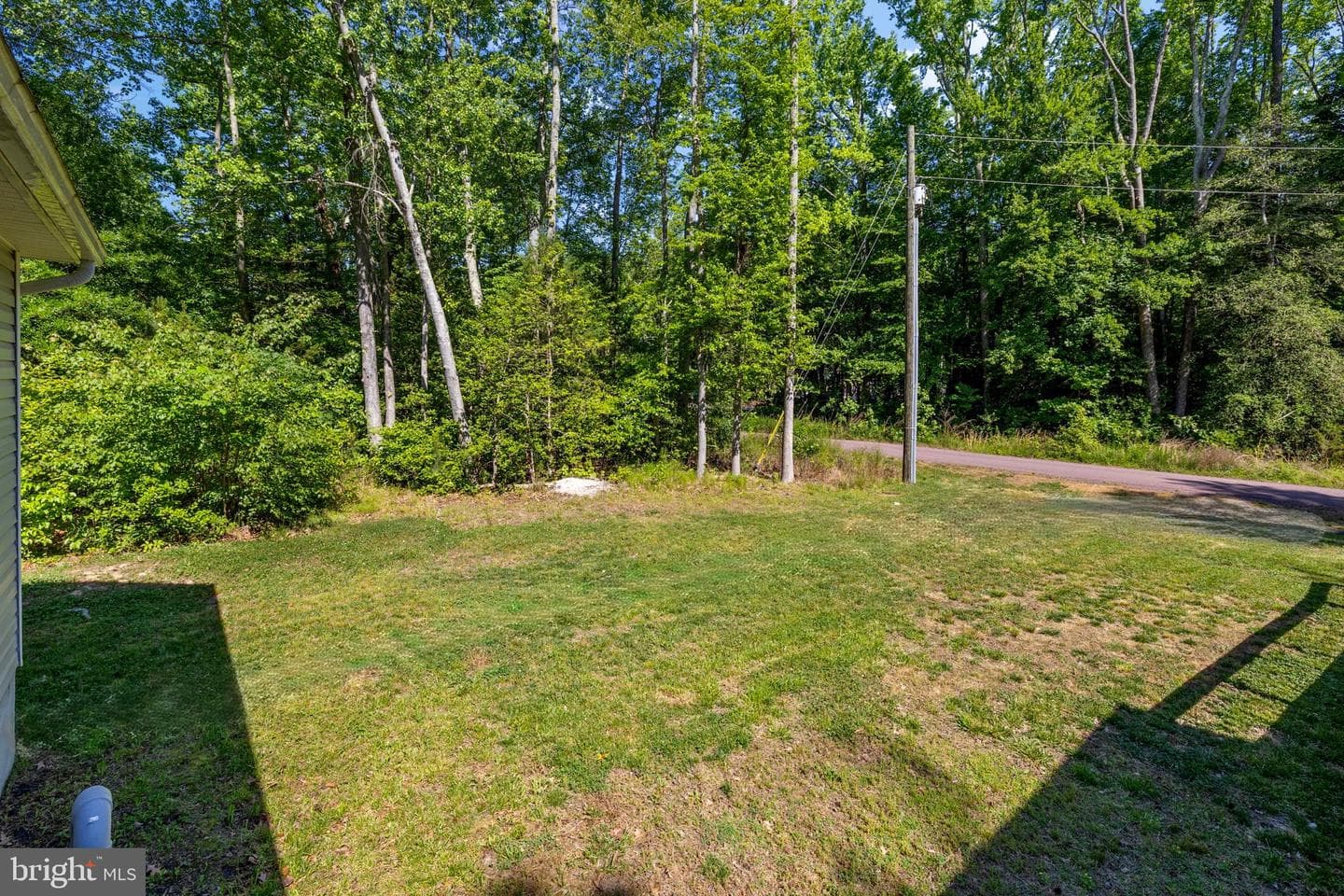 22 Pinewood Lane photo 22