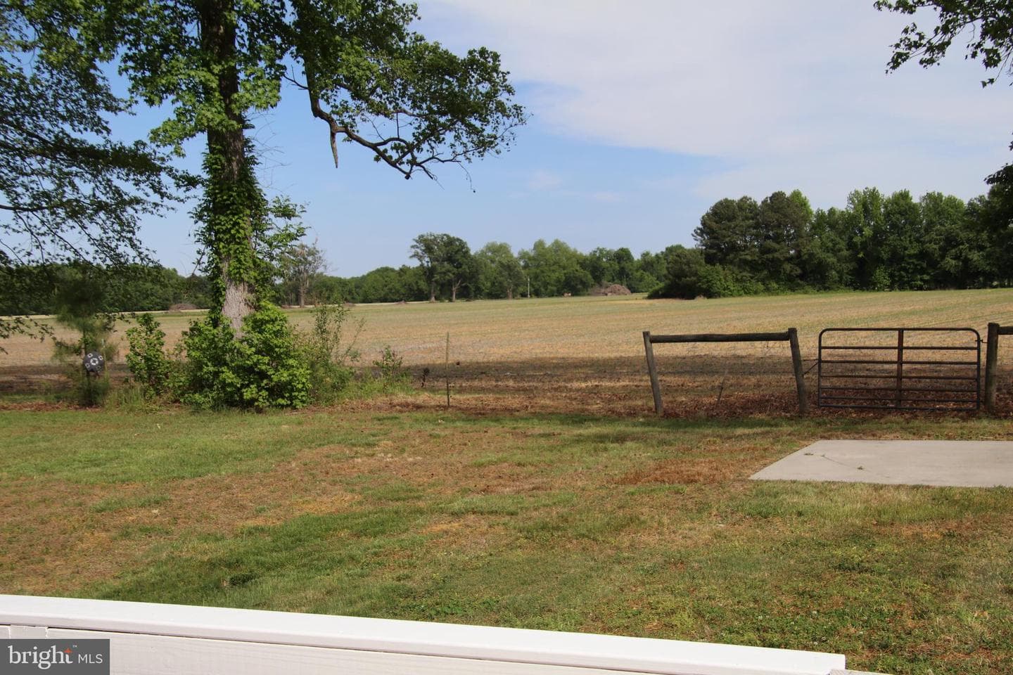 508 Latane Drive photo 7