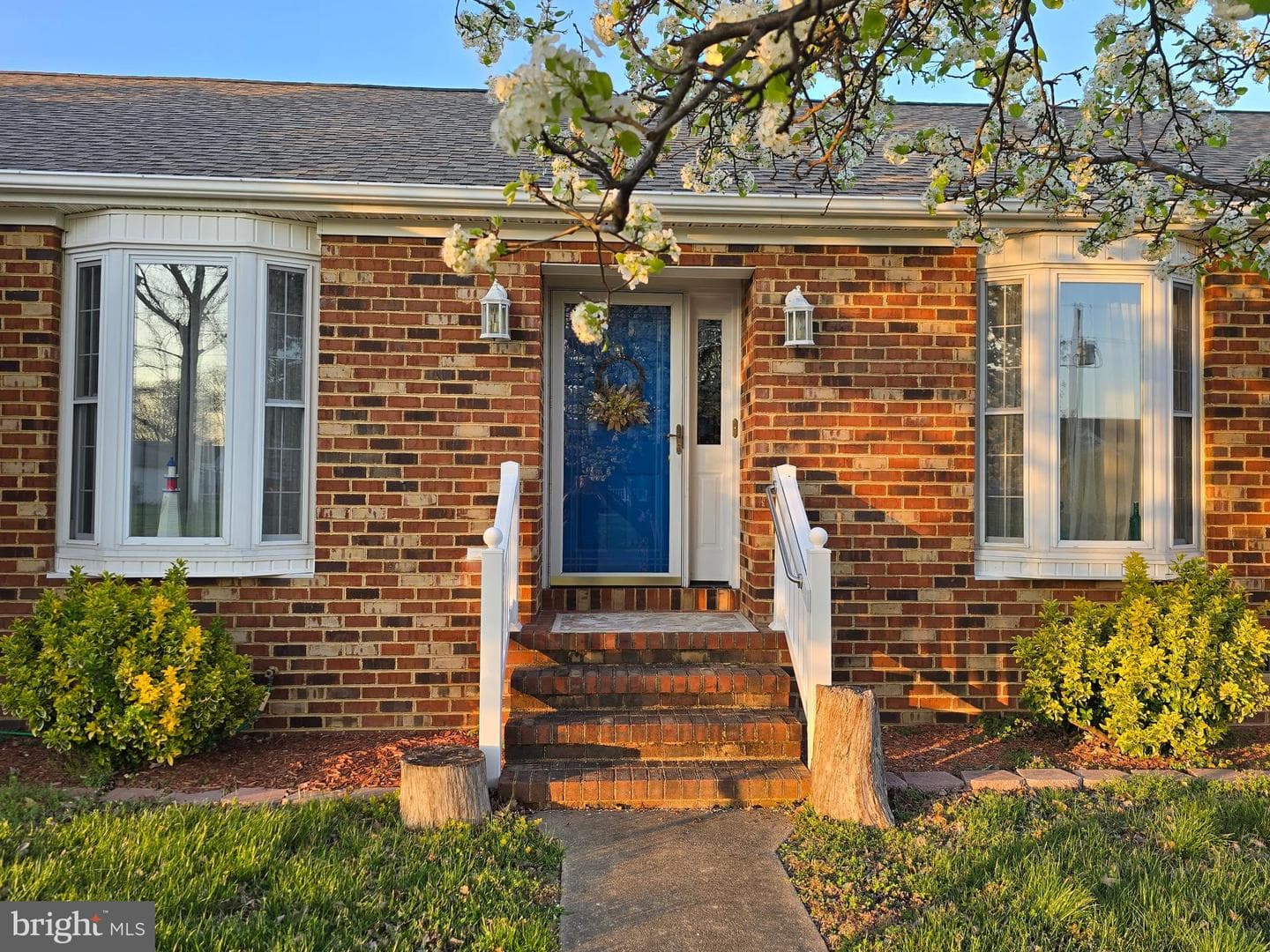 241 Potomac Lane photo 4