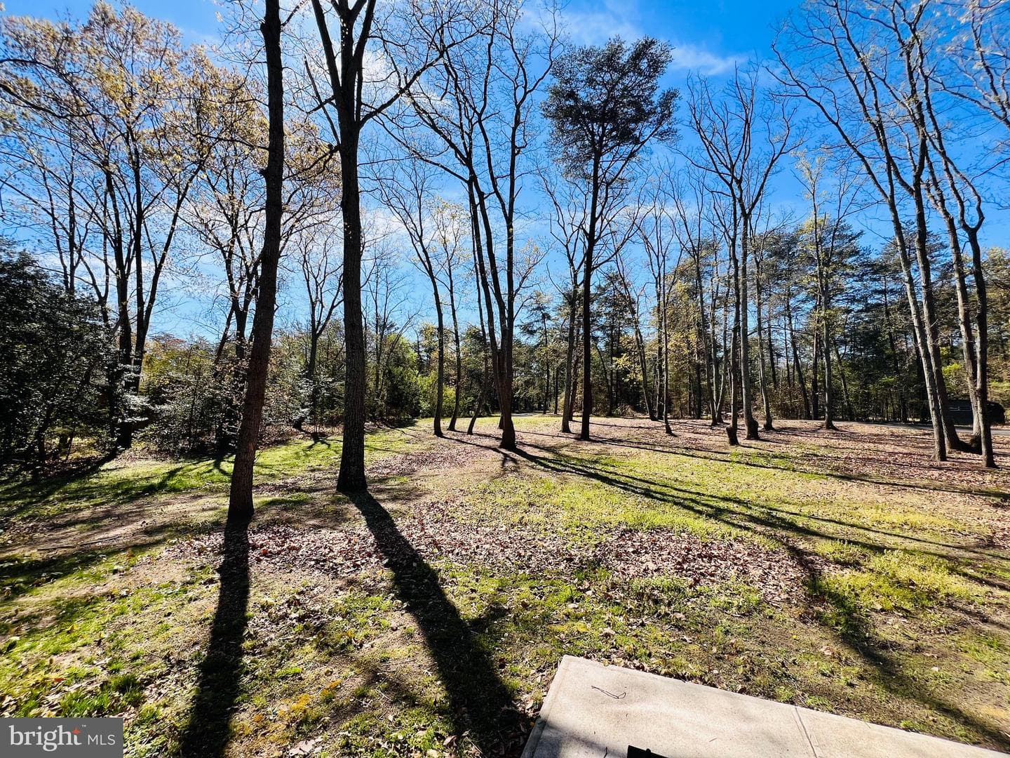 436 Thompson Circle photo 48