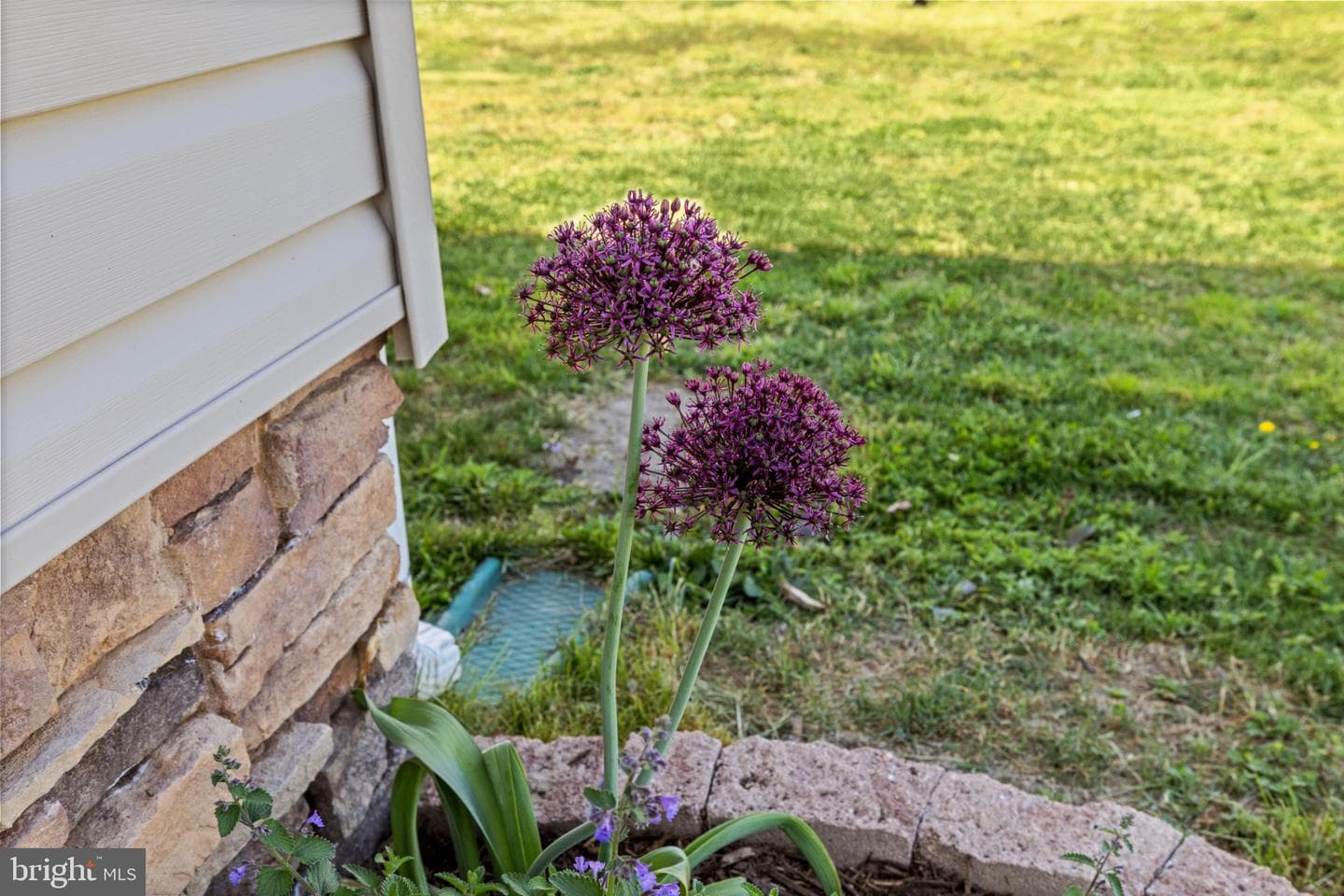1523 Bowie Road photo 24