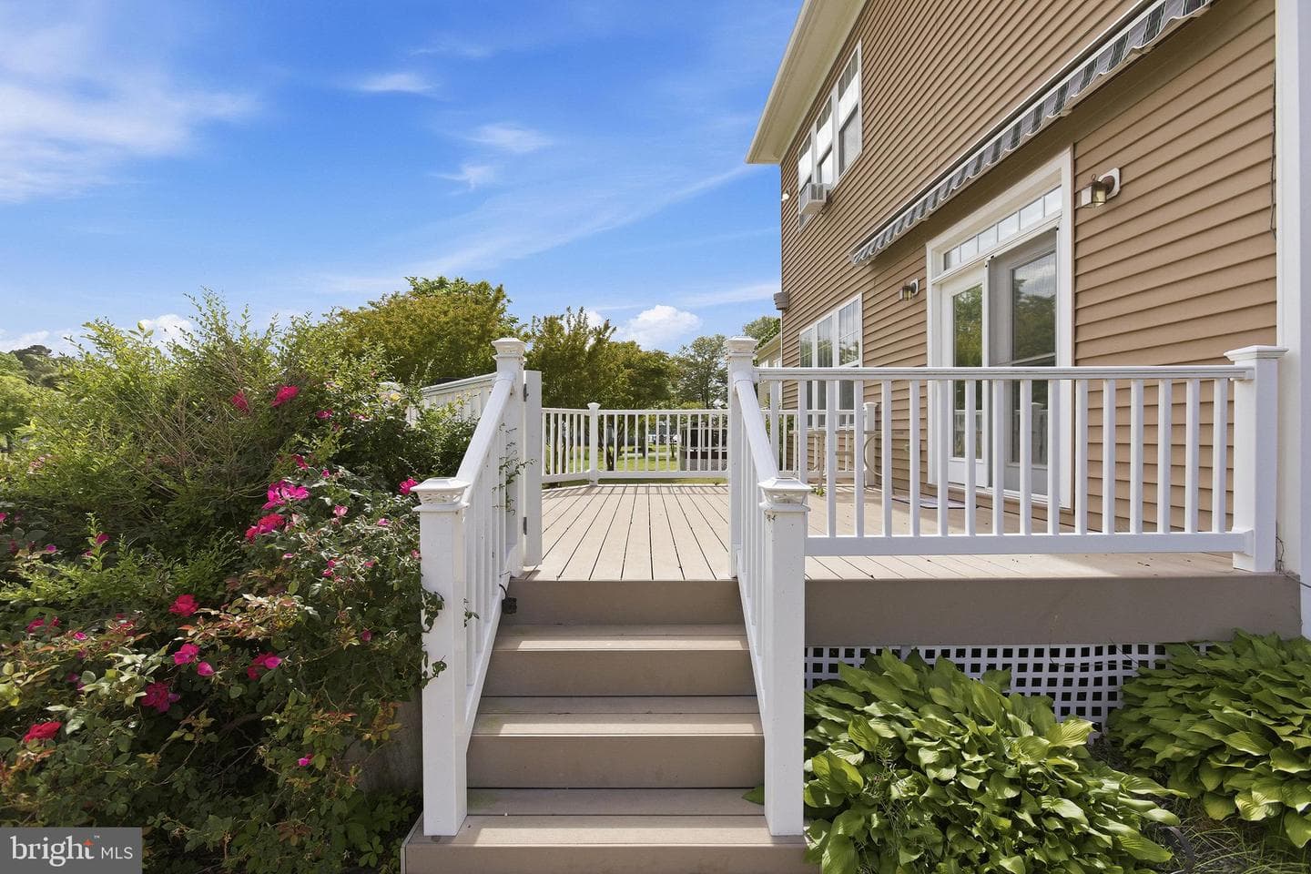 40 Branson Cove photo 39