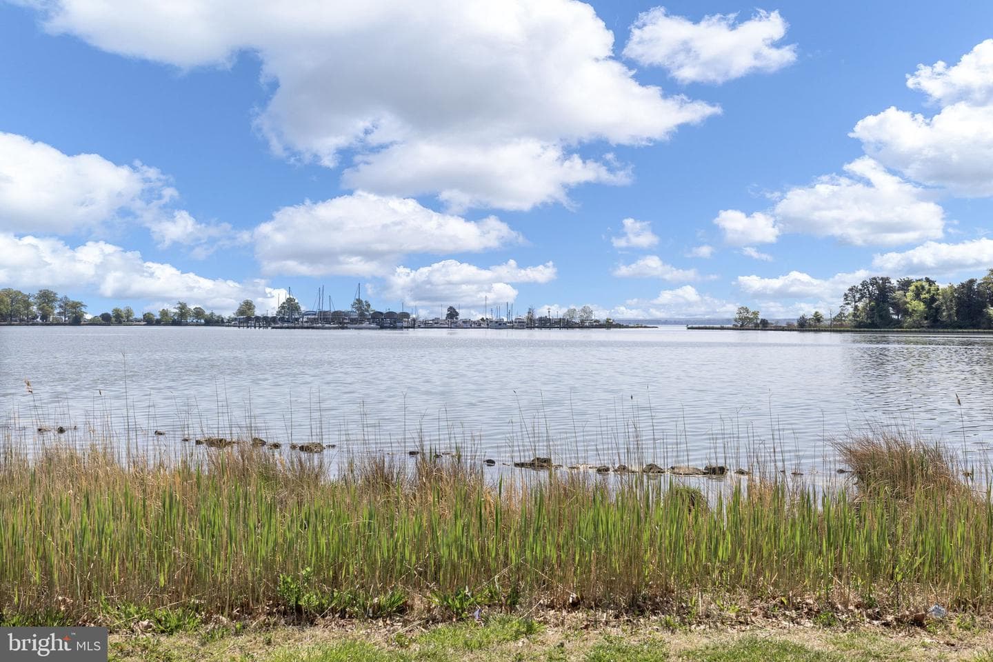 144 Bonnie Del Dr photo 47