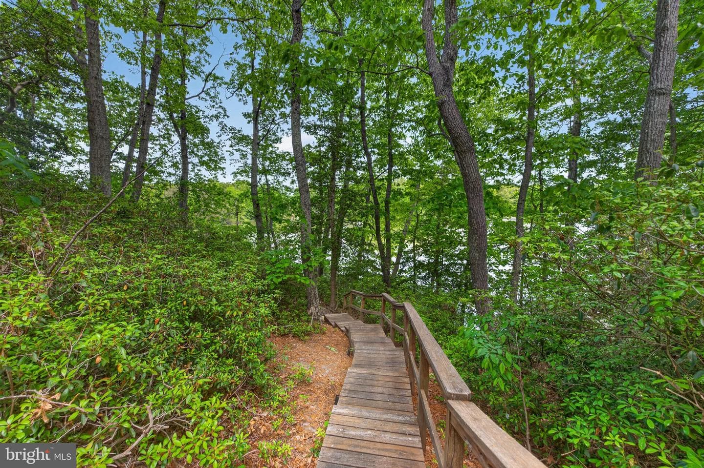 66 Old Prospect Landing photo 43