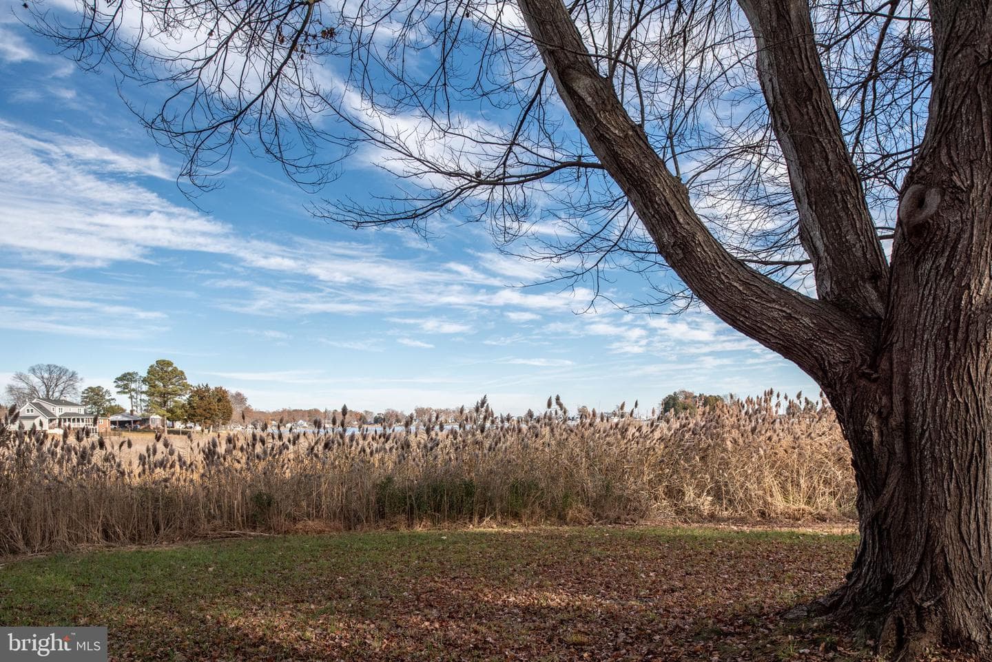1058 Shore Drive photo 33
