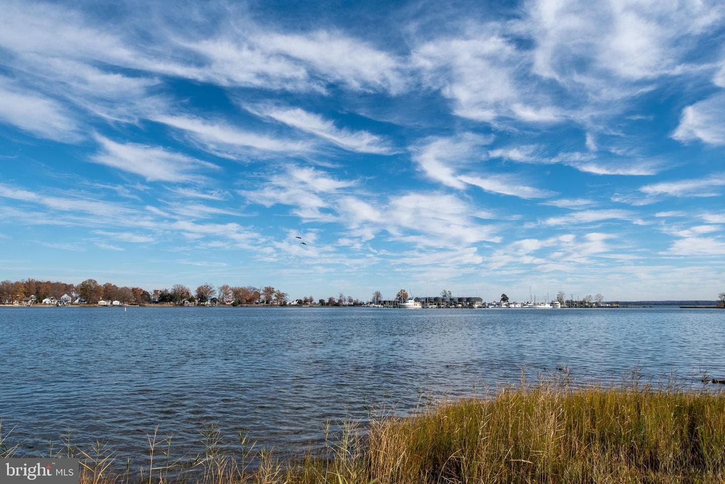 1058 Shore Drive photo 5