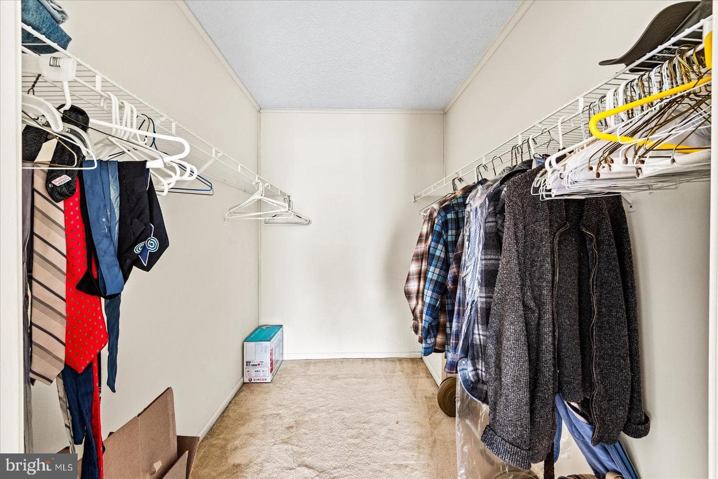 107 Bonnie Del Drive photo 26