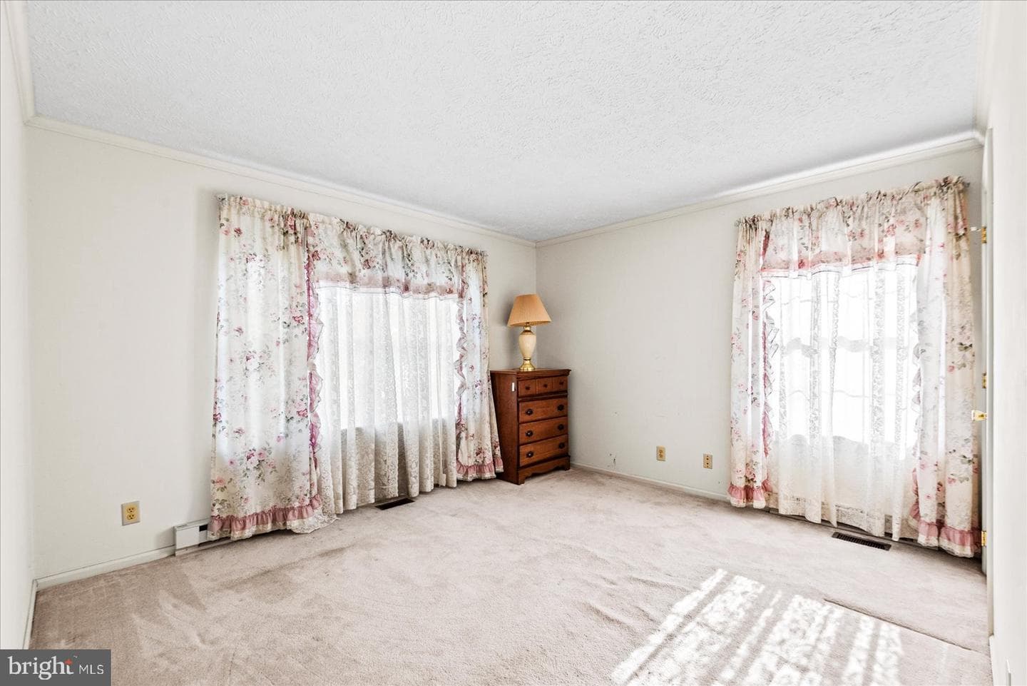 107 Bonnie Del Drive photo 30