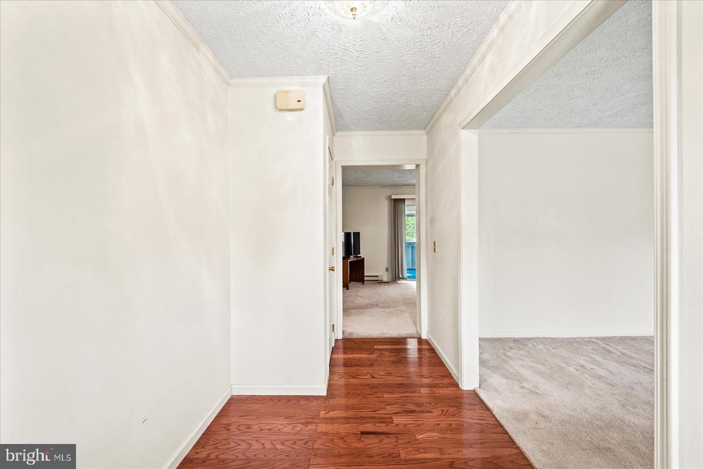 107 Bonnie Del Drive photo 6