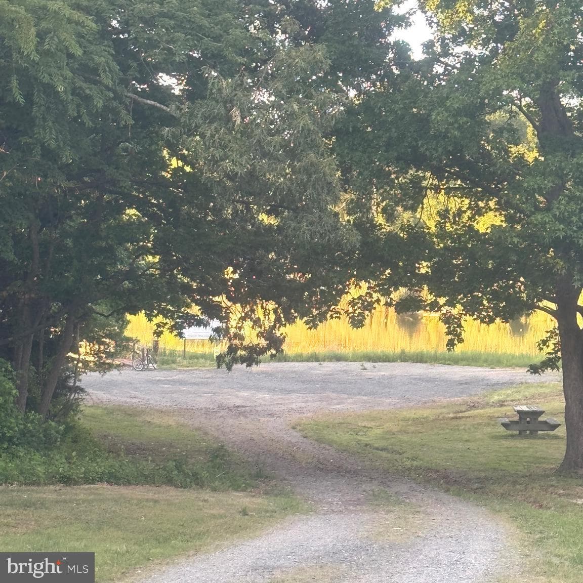 191 Woodbine Drive photo 26