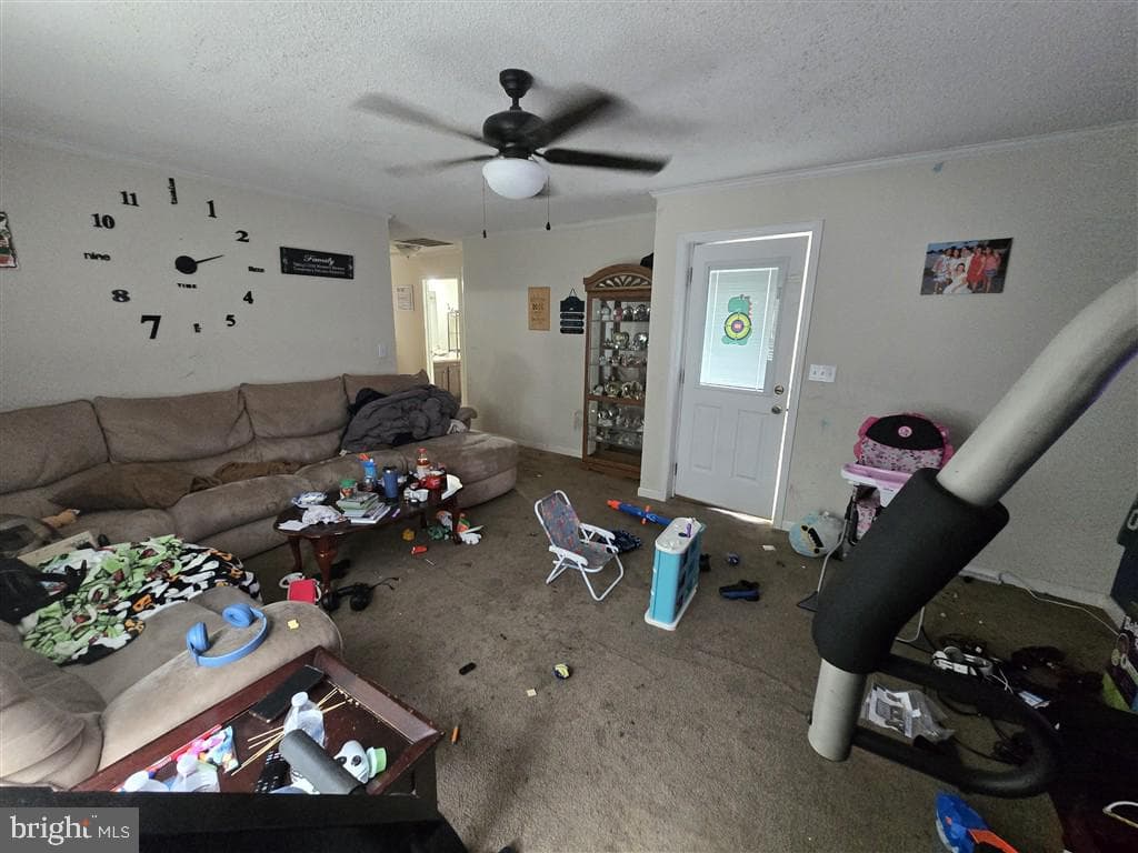 55 Latane Drive photo 11