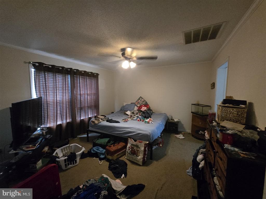 55 Latane Drive photo 5
