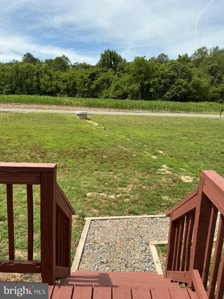 531 Lowe Dr photo 32