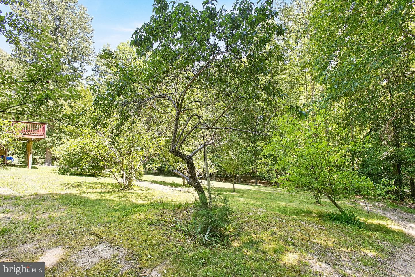 199 Settlers Lane photo 39