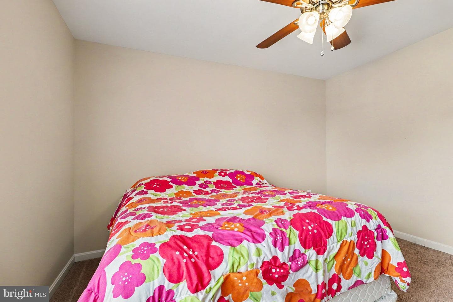 214 Richmond Road photo 23