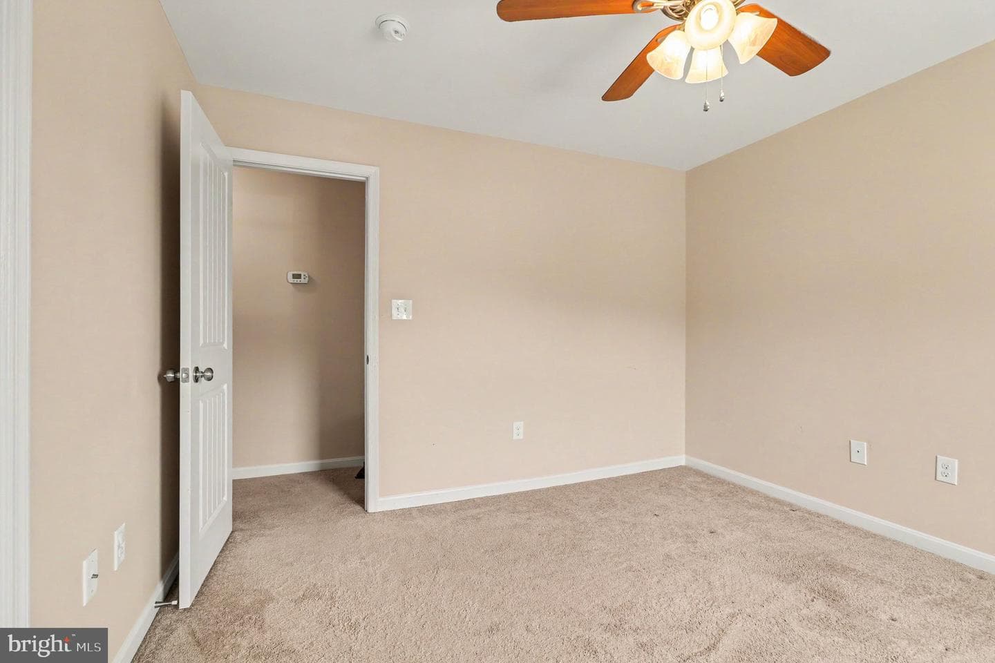 214 Richmond Road photo 29