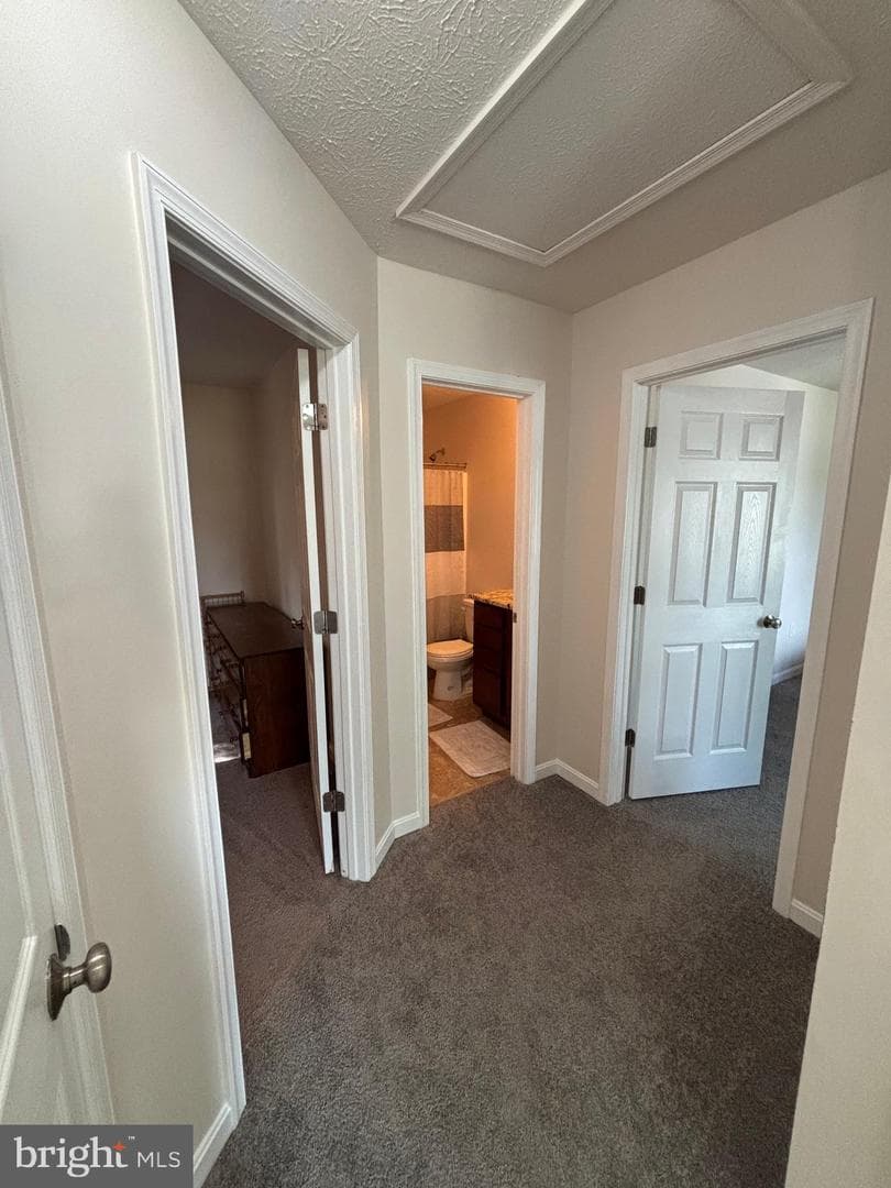 419 Latane Drive photo 14
