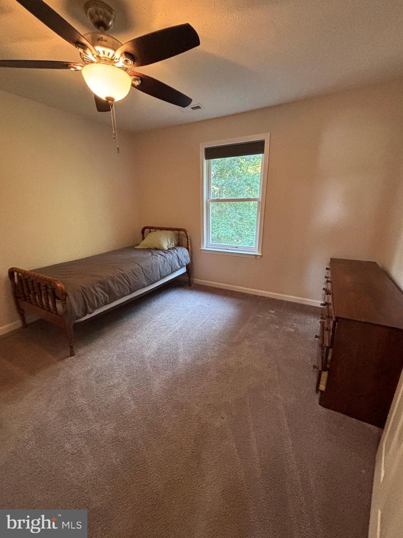 419 Latane Drive photo 21