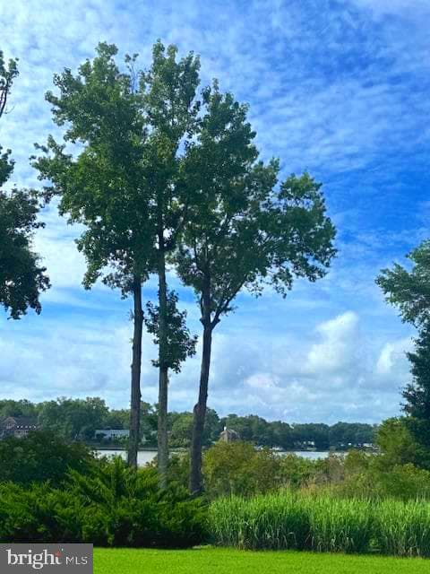 308 Monroe Point Drive photo 2