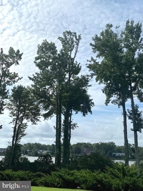 308 Monroe Point Drive photo 3
