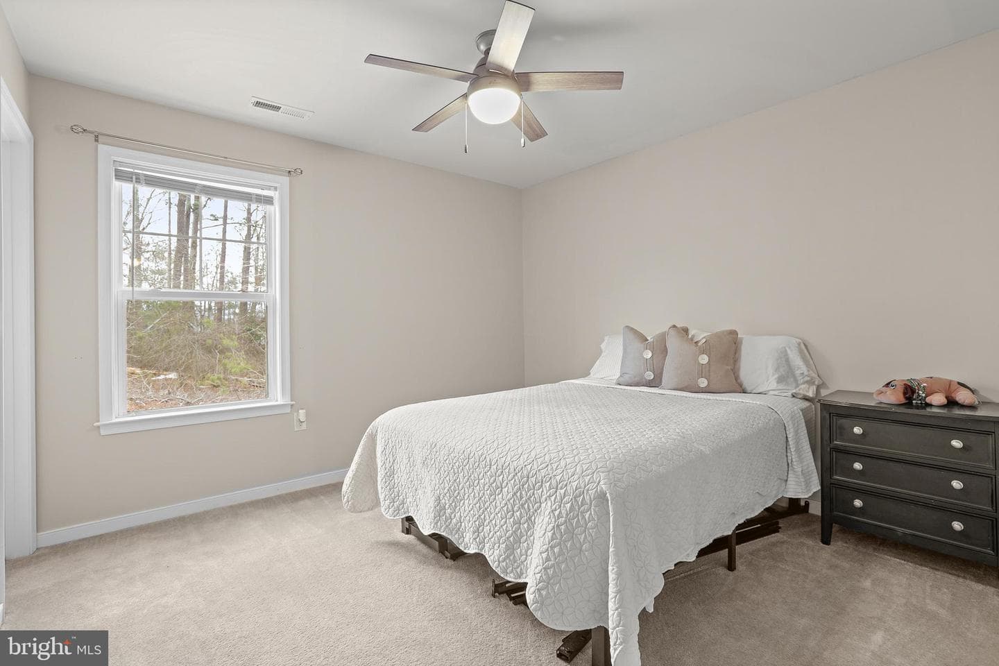 84 Cove Lane photo 29