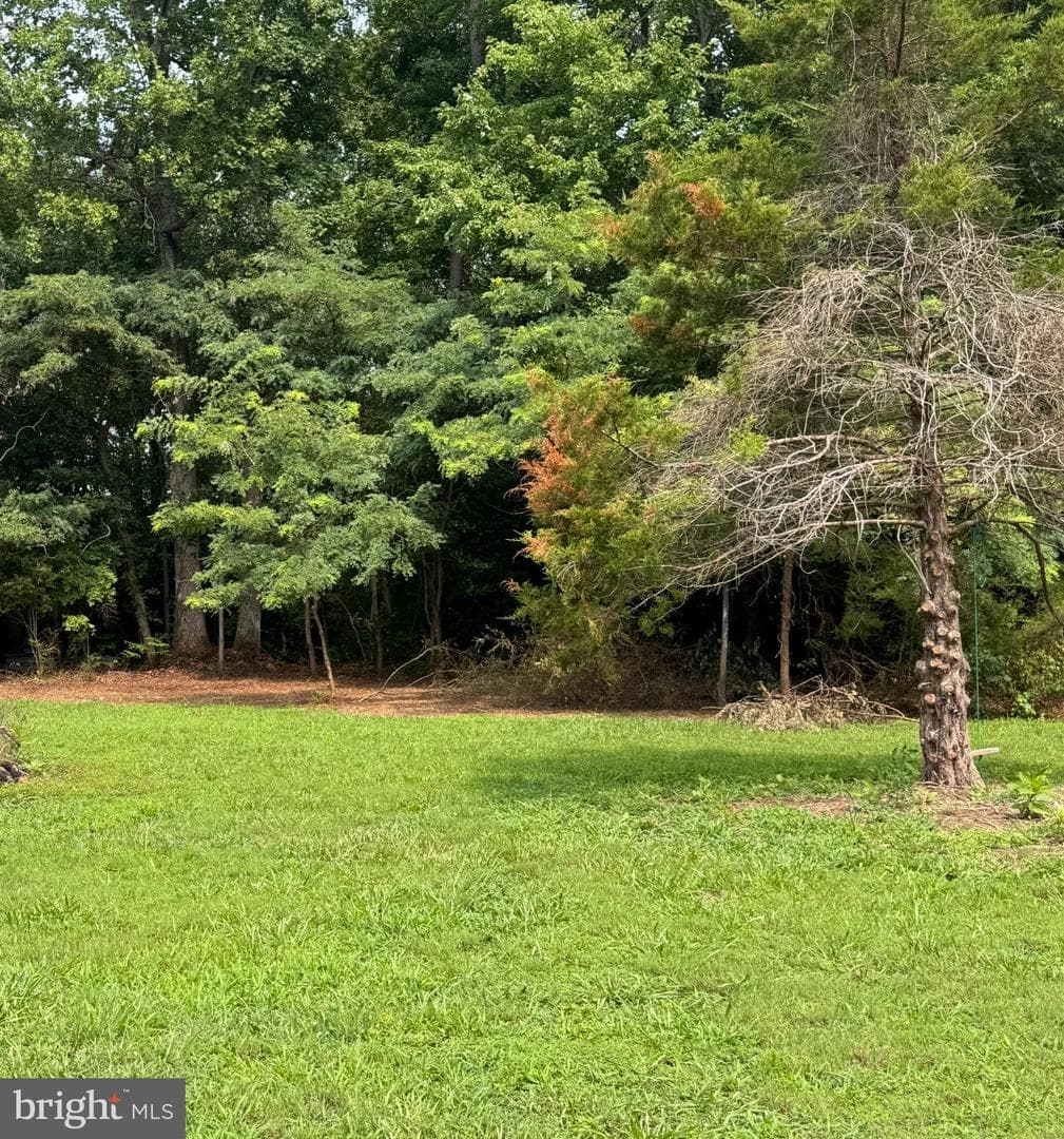 461 Long Point Road photo 4